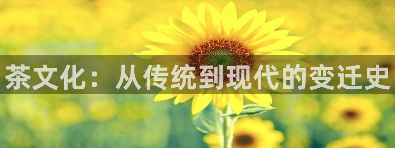 彩名堂计划怎么买胜率高
