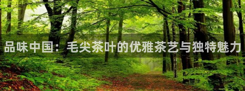彩名堂怎么跟计划才不连挂在一起