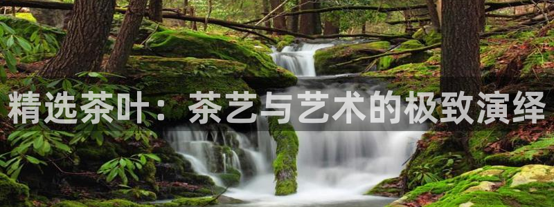 下载彩名堂预测计划软件安装
