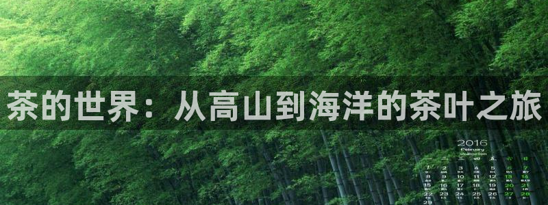 彩名堂免费计划使用方法是什么