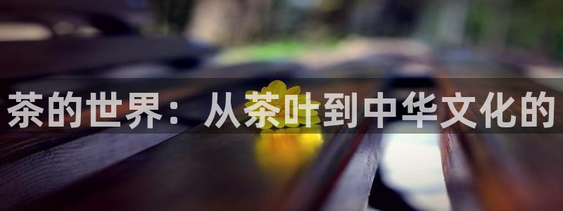 彩名堂预测官网