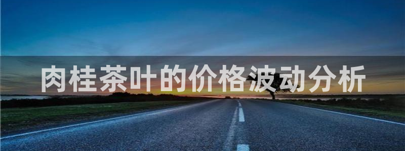彩名堂预测软件与分析
