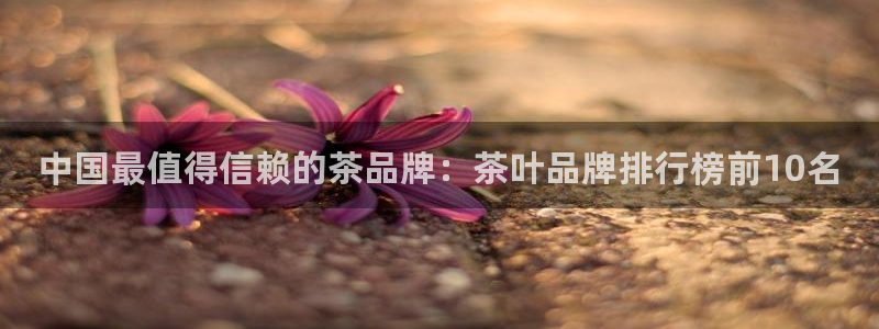 彩名堂免费计划官网50下载957