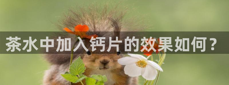 正规彩名堂官网计划