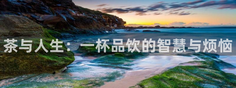 彩名堂怎么样