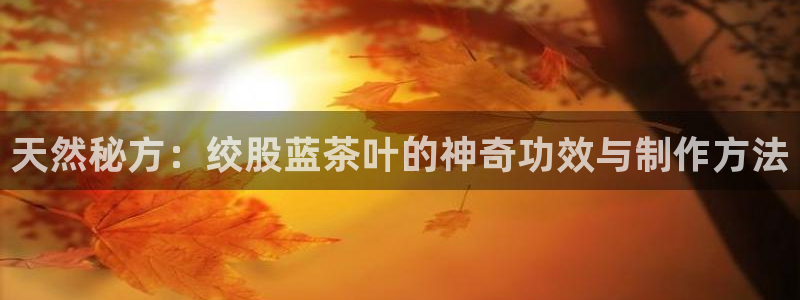 彩名堂人工计划客户端官网