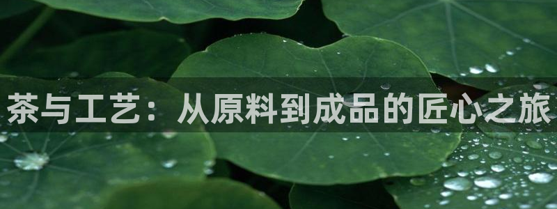 彩名堂到底怎么看,一跟就挂