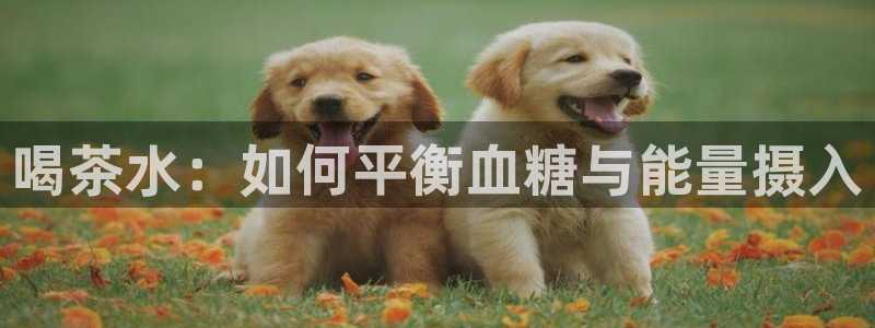 彩名堂加拿大怎么买准确率高