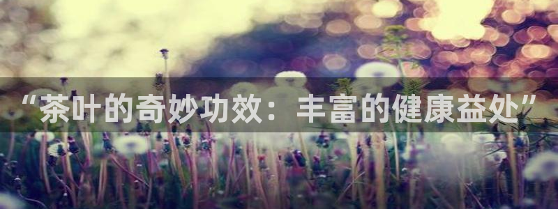 彩名堂开奖结果查询