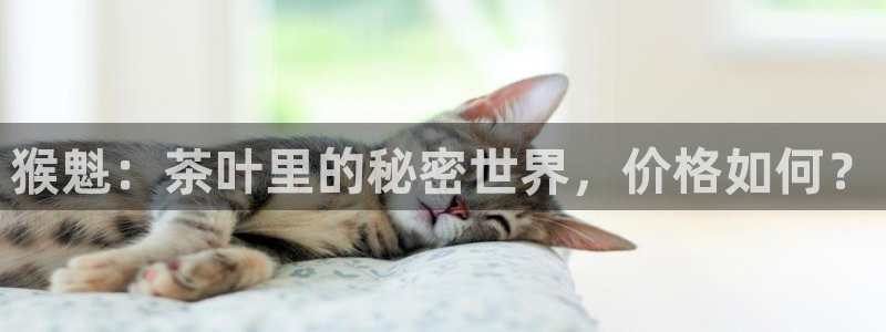 彩名堂苹果客户端怎么下载