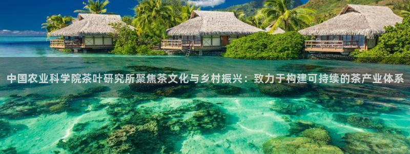 彩名堂排三