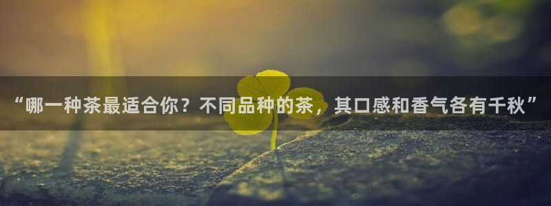 彩名堂一直不出结果怎么回事呢