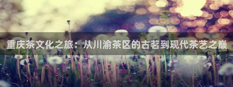彩名堂到底怎么看,一跟就挂