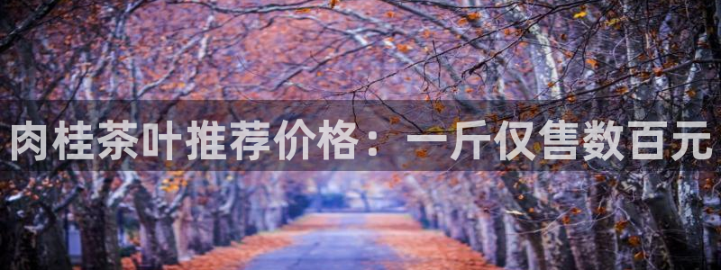 如何进入彩名堂官网更新