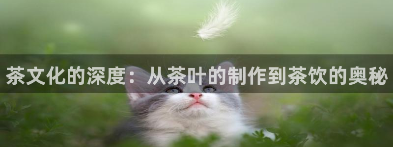 彩名堂计划和01计划怎么很稳