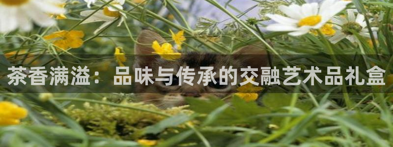 彩名堂计划真的准吗