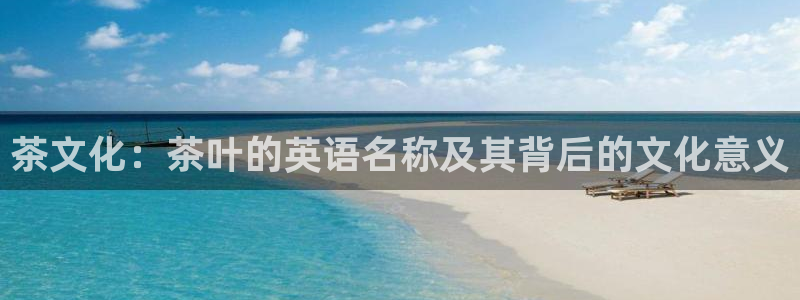 老版本彩名堂计划软件