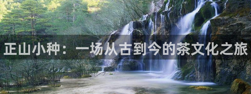 彩名堂平台