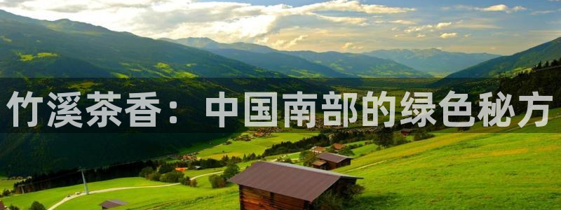 为什么彩名堂今天不能用