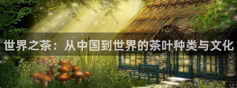 彩名堂人工计划客户端官网