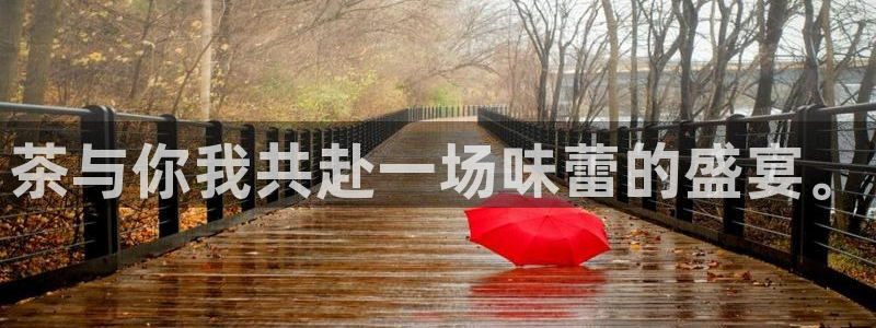 彩名堂预测