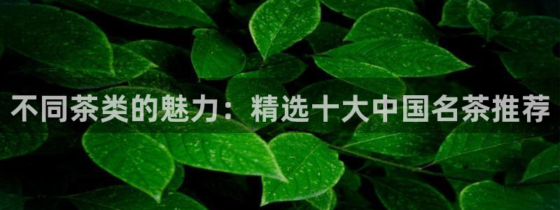 彩名堂的拼音