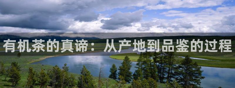 彩名堂安卓客户端官网