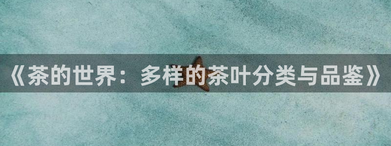 彩名堂免费计划亮点