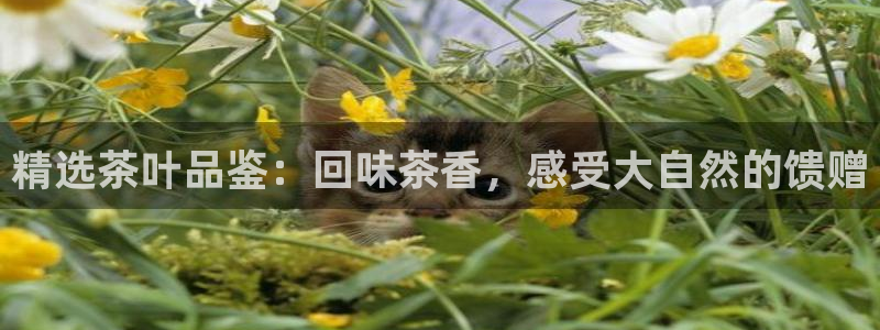 彩名堂官方平台