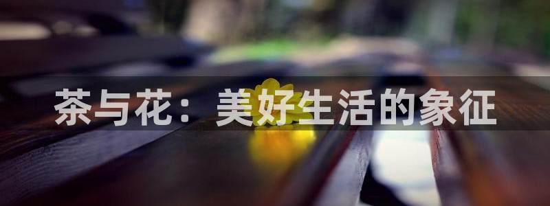 彩名堂用不了