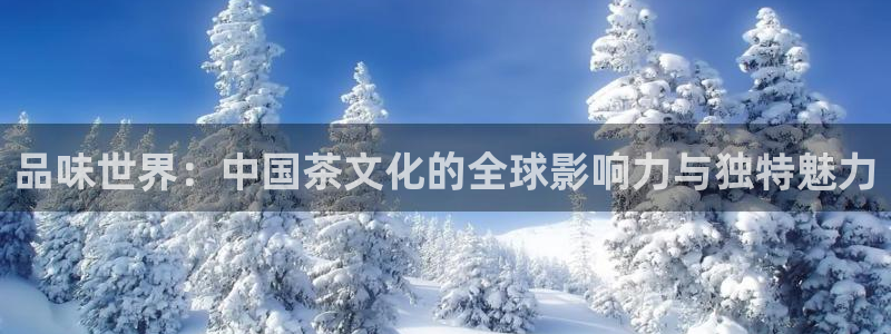 彩名堂人工计划客户端