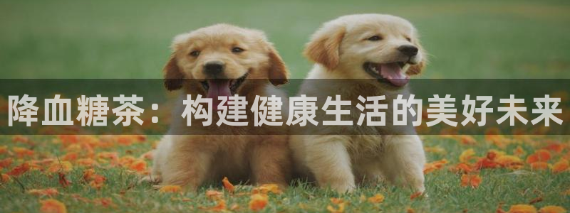 彩名堂计划怎么看