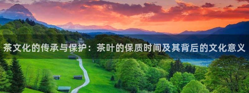 彩名堂好用还是千里马好用一点