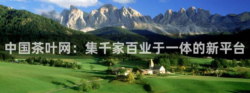 彩名堂旧版本