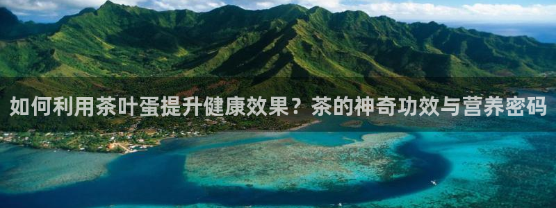 彩名堂计划最新版手机版