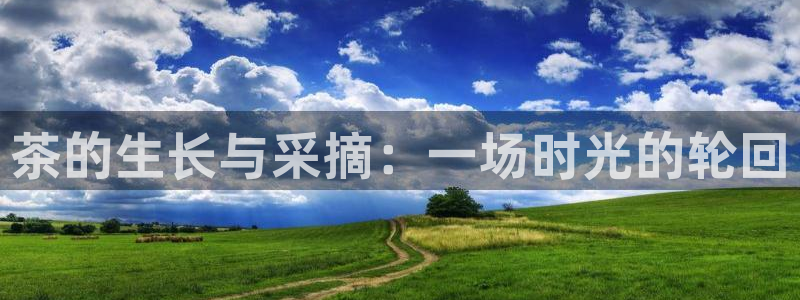 彩名堂免费计划官网5 0