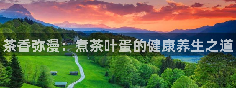 正规彩名堂官网计划01