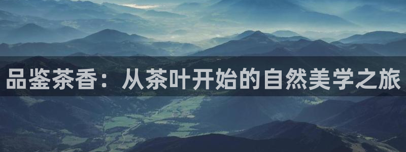 彩名堂官网客户端