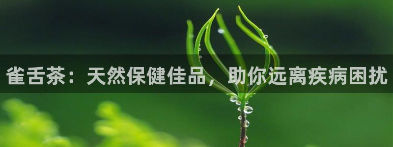 彩名堂怎么买准确率高