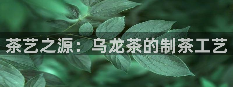 彩名堂免费计划下载