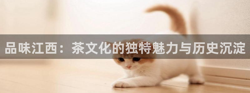 彩名堂5.0版计划怎么用不了