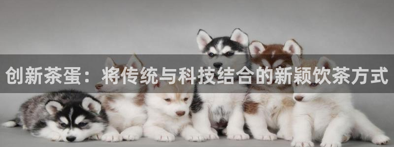 彩名堂计划和01计划怎么很稳