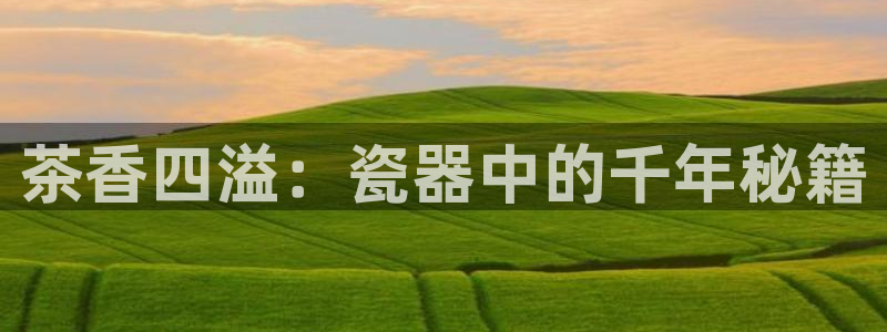 彩名堂怎么用不了了