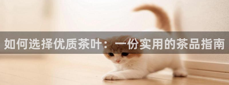 彩名堂50版本计划
