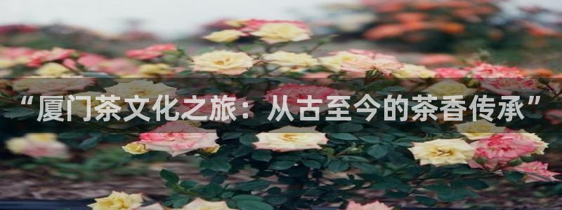 彩名堂计划app安卓免费下载