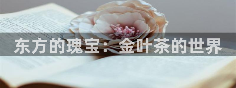 彩名堂app2.05版本