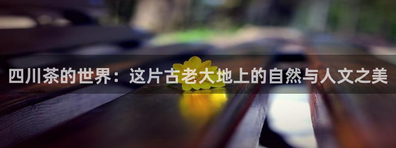 彩名堂官网2
