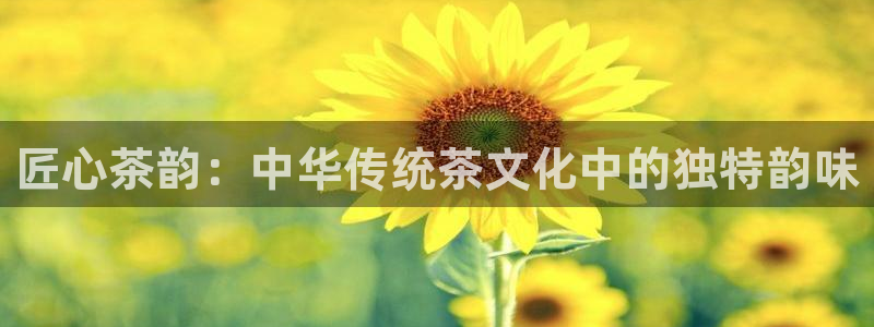 彩名堂下载官网