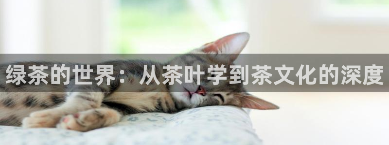 彩名堂免费计划5.0使用方法是什么