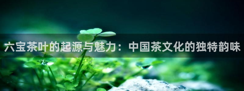 彩名堂计划怎么打不开了
